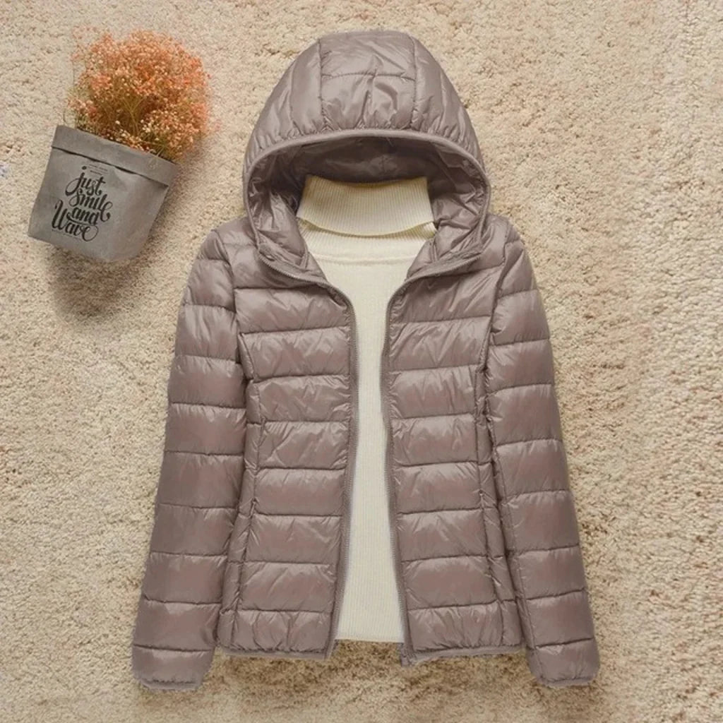 Damen Steppjacke – Regular Fit – Leicht Gefüttert – Hüftlang mit Stehkragen