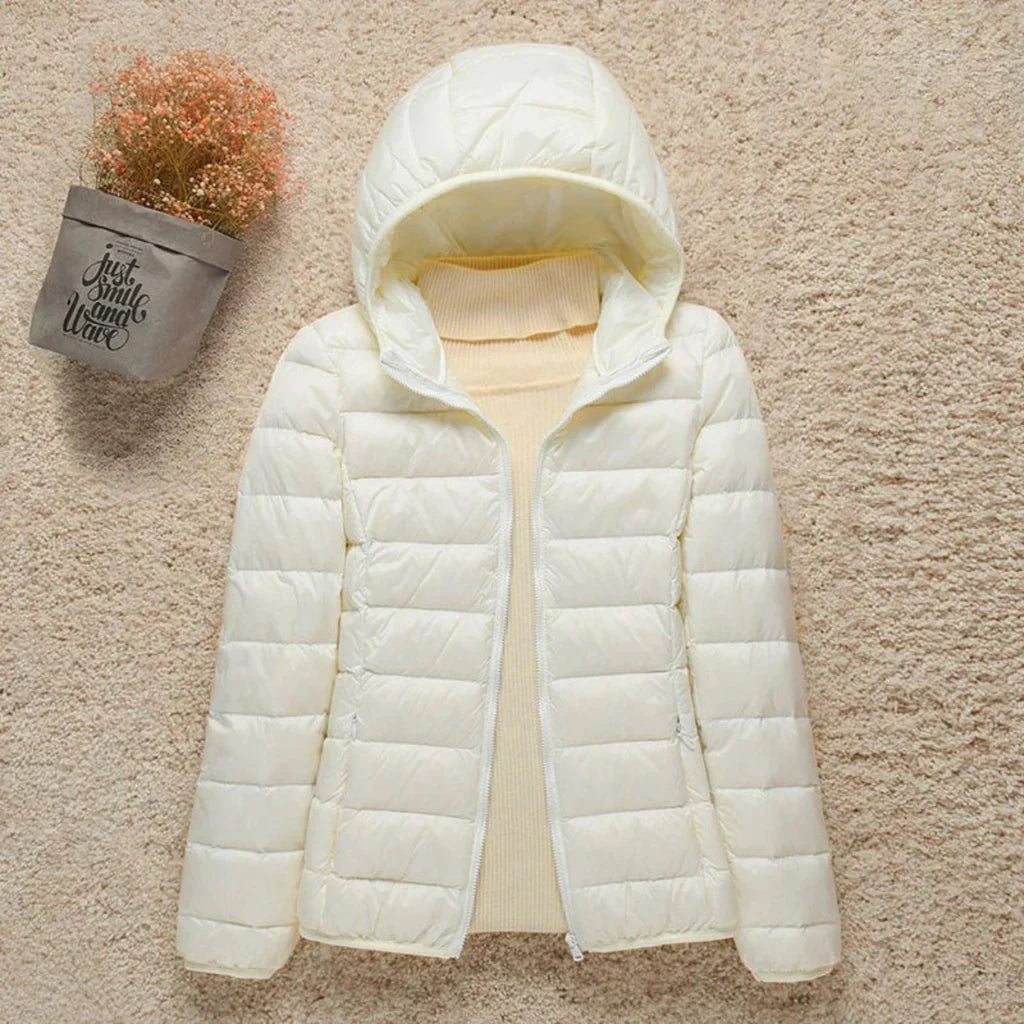 Damen Steppjacke – Regular Fit – Leicht Gefüttert – Hüftlang mit Stehkragen