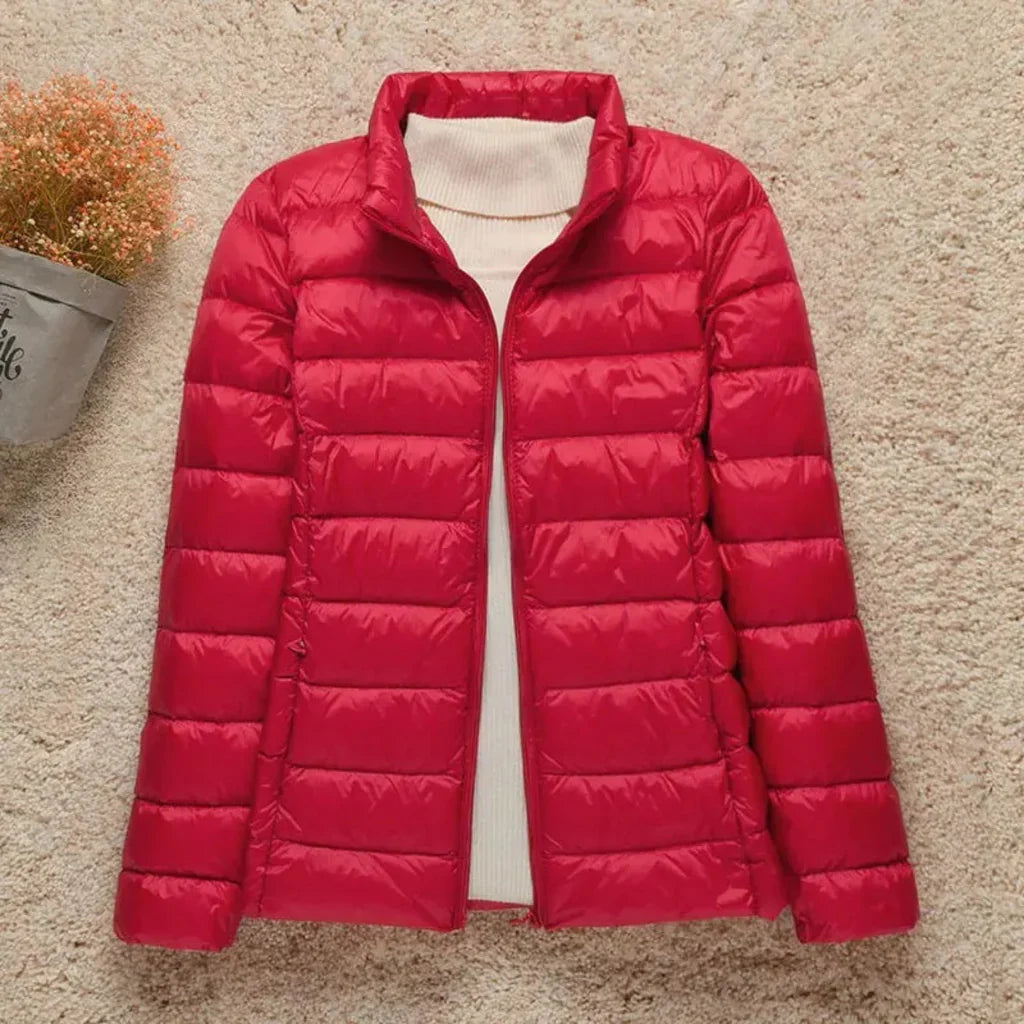 Damen Steppjacke – Regular Fit – Leicht Gefüttert – Hüftlang mit Stehkragen