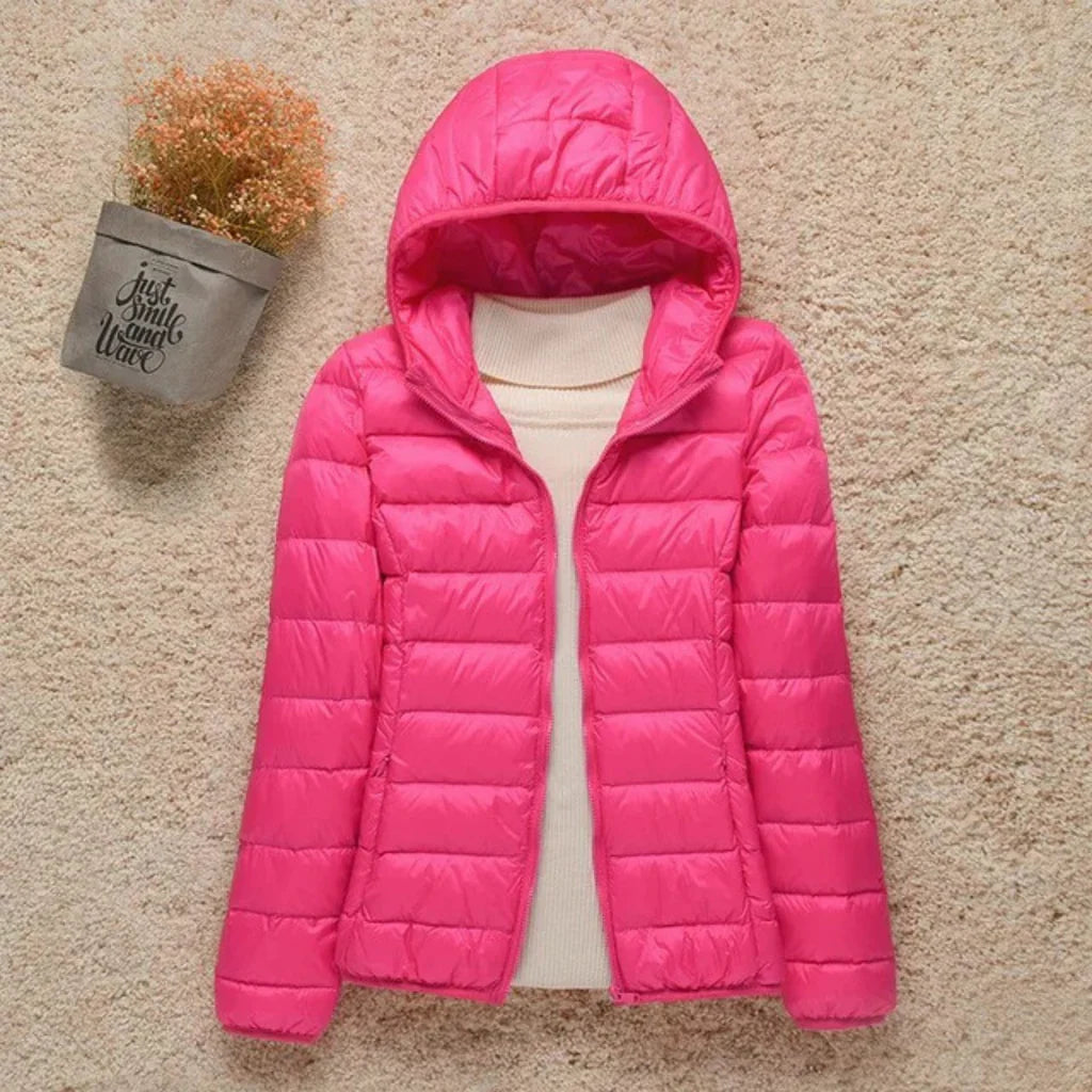 Damen Steppjacke – Regular Fit – Leicht Gefüttert – Hüftlang mit Stehkragen
