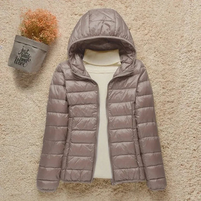 Damen Steppjacke – Regular Fit – Leicht Gefüttert – Hüftlang mit Stehkragen