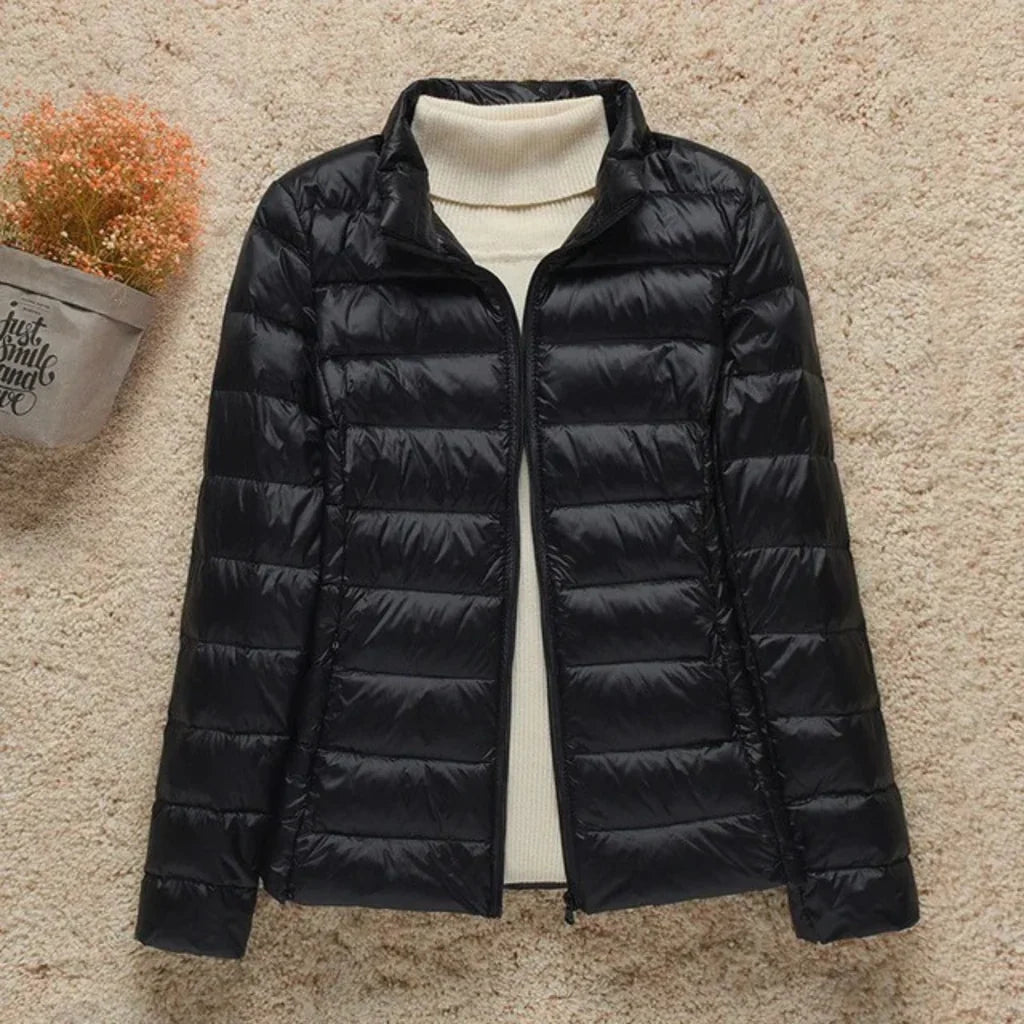 Damen Steppjacke – Regular Fit – Leicht Gefüttert – Hüftlang mit Stehkragen