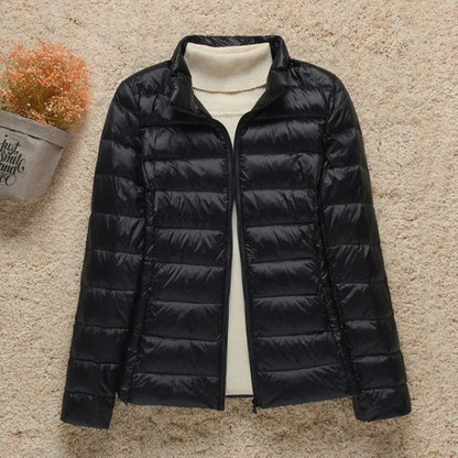 Damen Steppjacke – Regular Fit – Leicht Gefüttert – Hüftlang mit Stehkragen